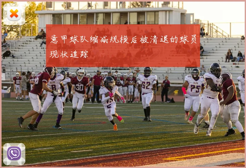 意甲球队缩减规模后被清退的球员现状追踪