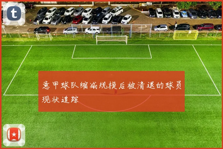 意甲球队缩减规模后被清退的球员现状追踪