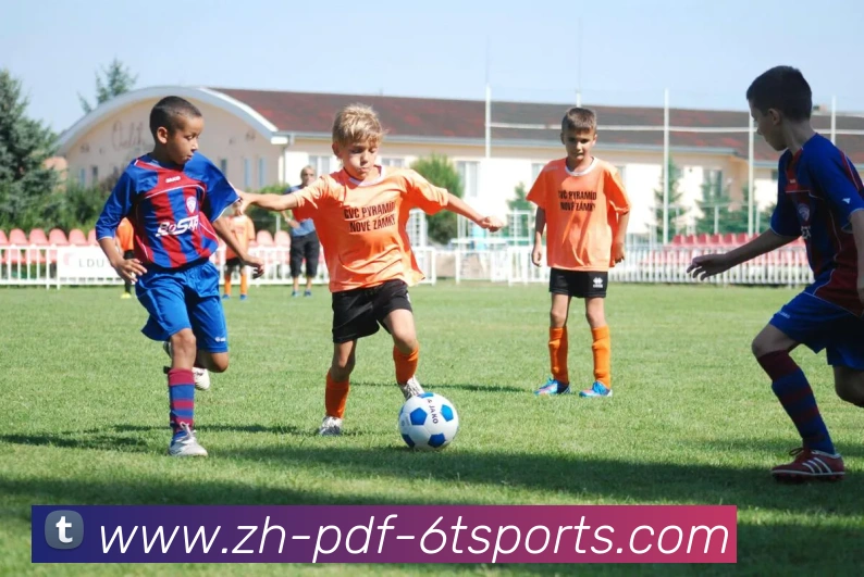 6T体育平台生态图