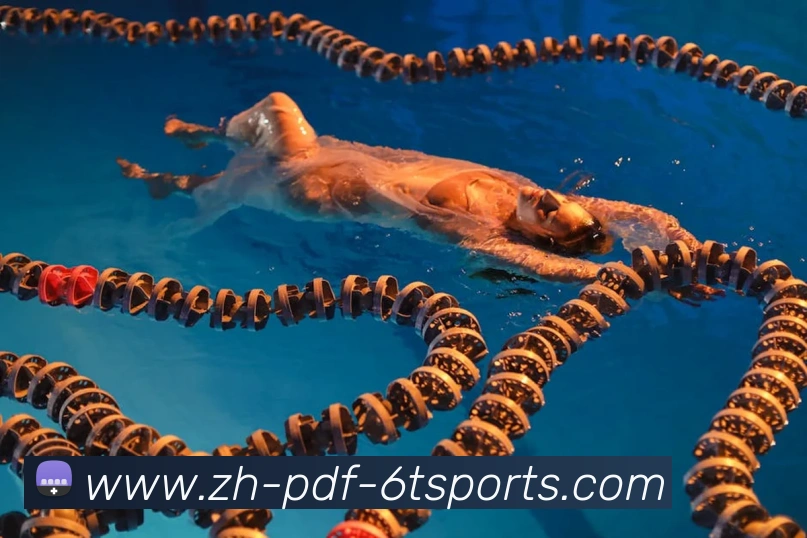 6T体育APP 封面图